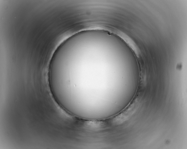 X0000103970805200809191533