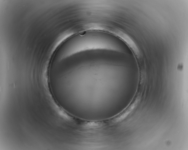 X0000103970806200809191533