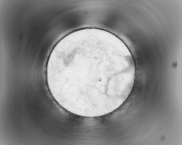 X0000103970807200809191533