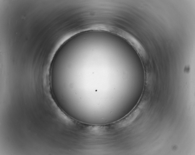 X0000103970808200809191533