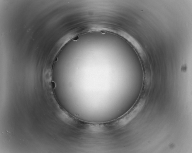 X0000103970809200809191533