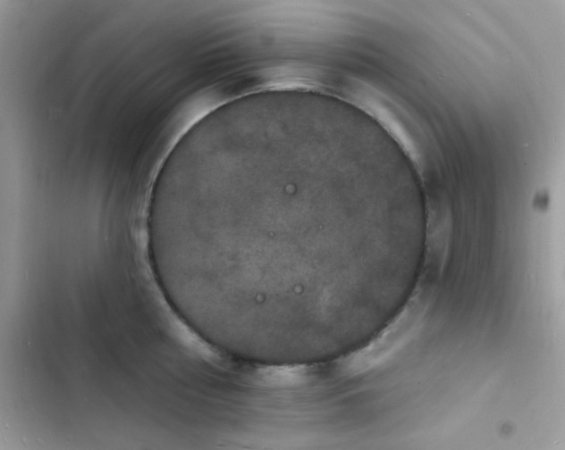 X0000103970810200809191533