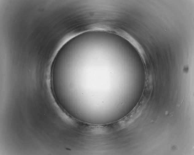 X0000103970811200809191533