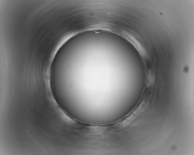 X0000103970812200809191533