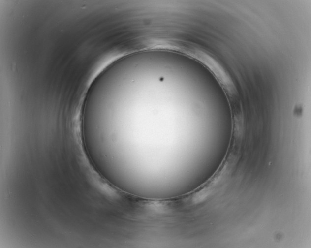 X0000103970814200809191533