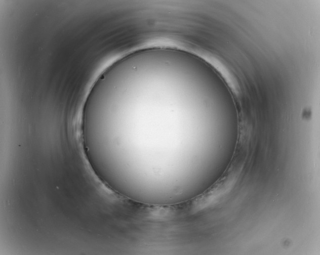 X0000103970815200809191533