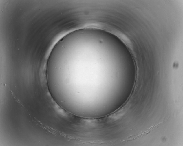 X0000103970816200809191533