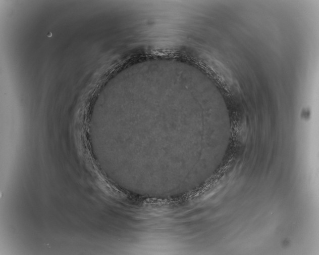 X0000103970817200809191532