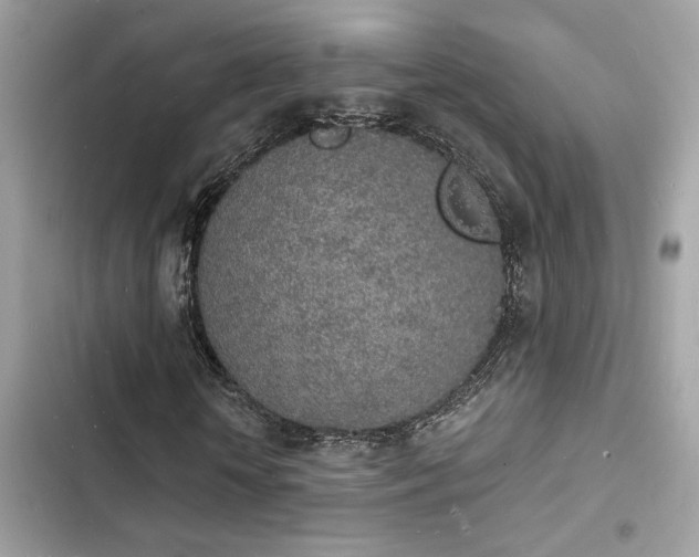 X0000103970818200809191532