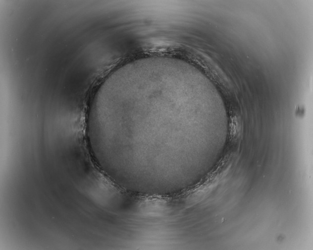 X0000103970820200809191532