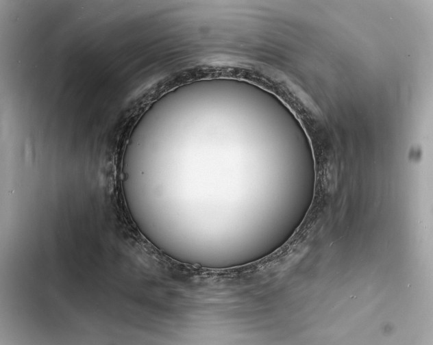 X0000103970821200809191532