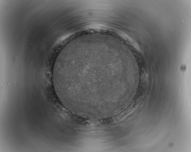 X0000103970822200809191532