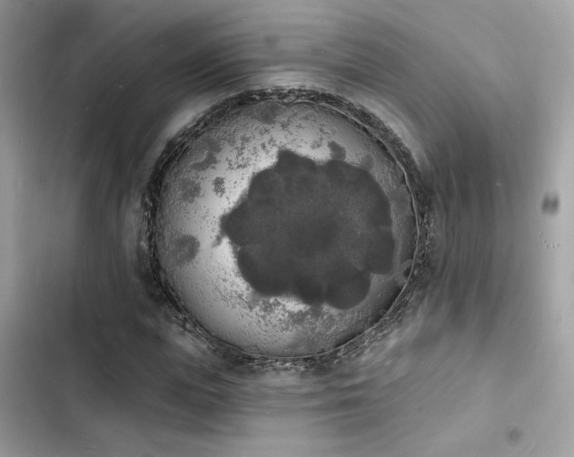 X0000103970823200809191532