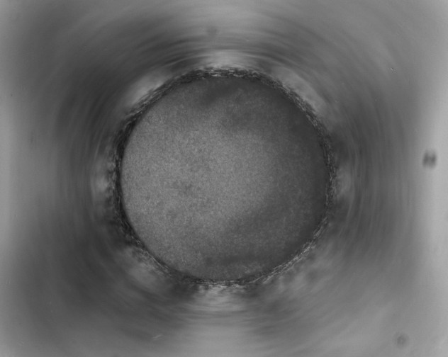 X0000103970824200809191532