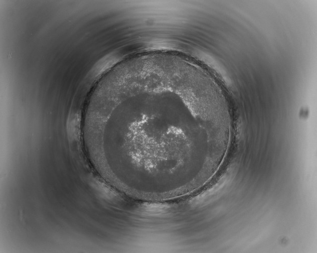 X0000103970825200809191532