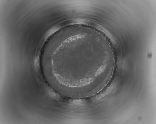 X0000103970826200809191532