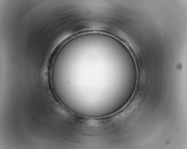 X0000103970827200809191532