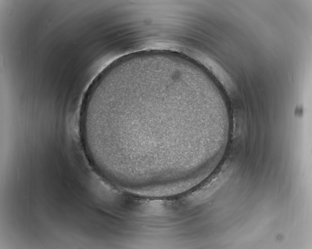 X0000103970828200809191532