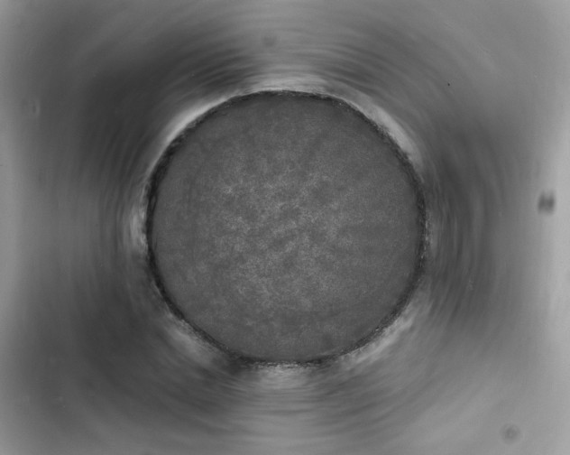 X0000103970830200809191532