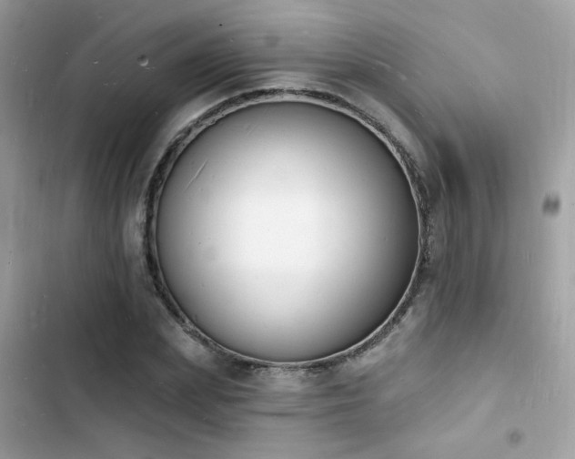 X0000103970831200809191532