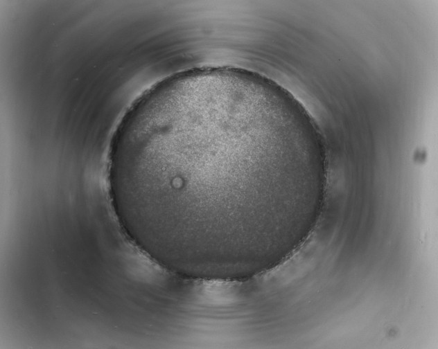 X0000103970832200809191532