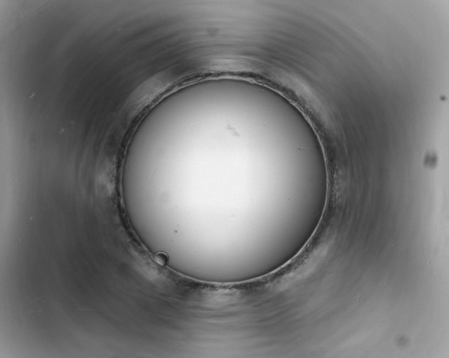 X0000103970833200809191532