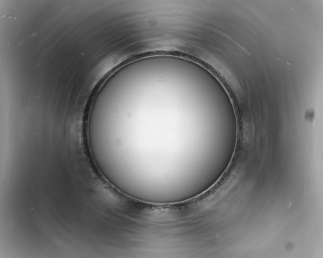 X0000103970834200809191532