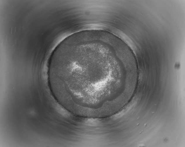 X0000103970835200809191532