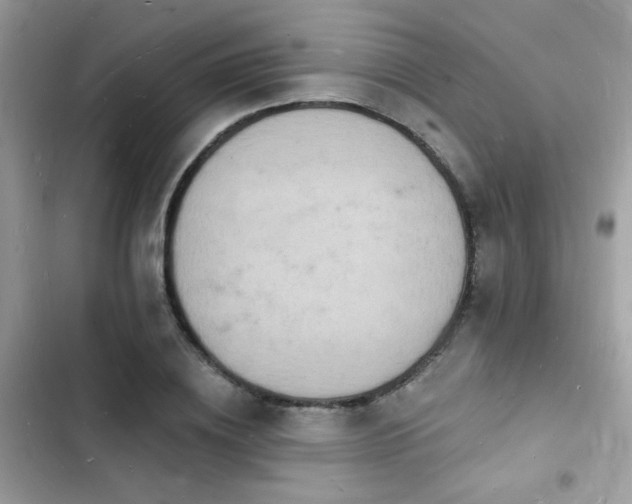 X0000103970836200809191532