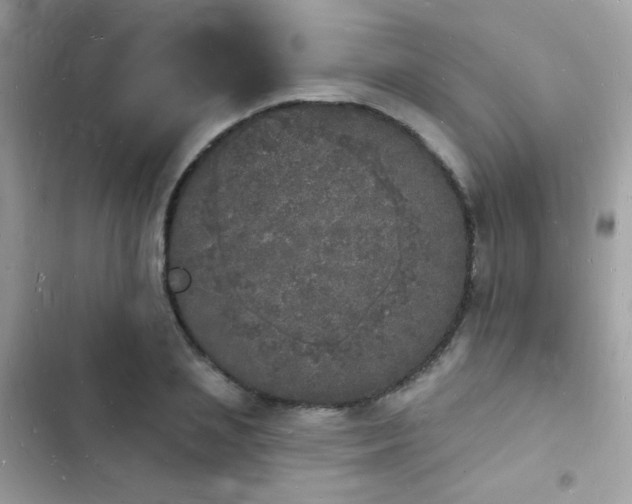 X0000103970837200809191532