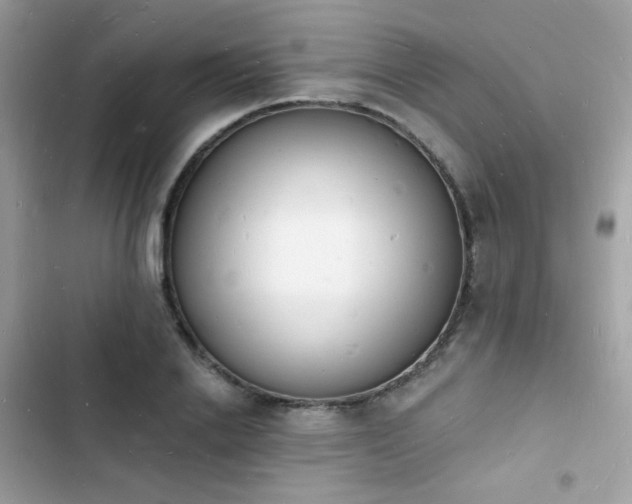 X0000103970838200809191532