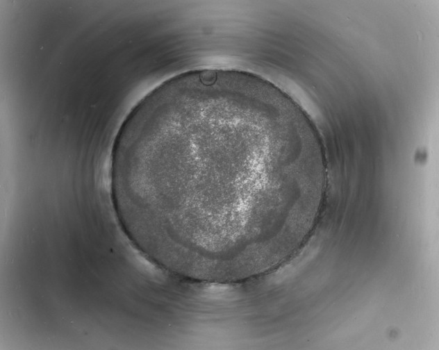 X0000103970839200809191532