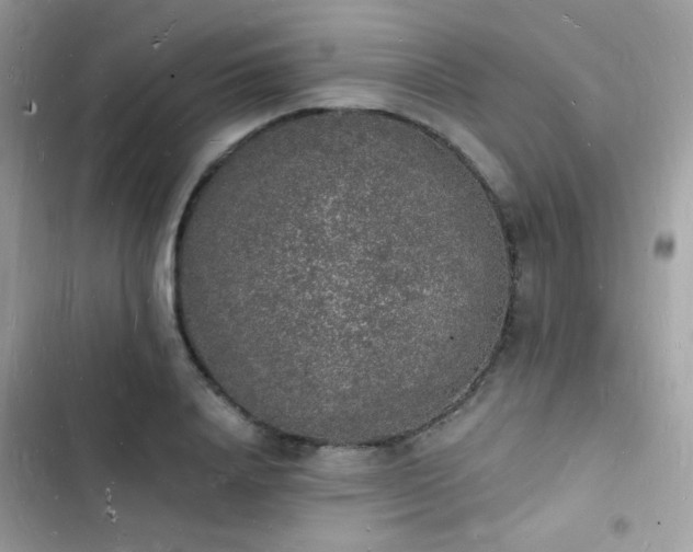 X0000103970840200809191532