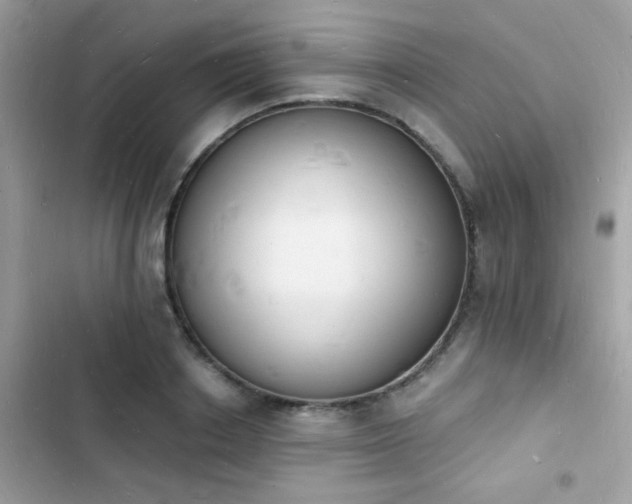 X0000103970842200809191532