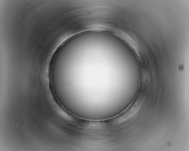 X0000103970843200809191532