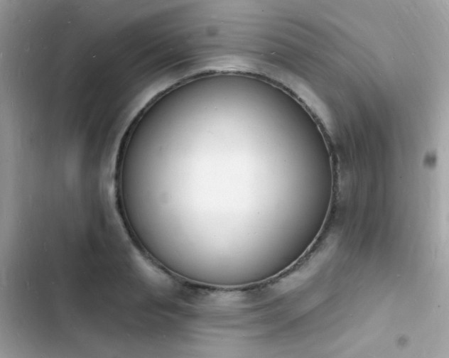 X0000103970845200809191532