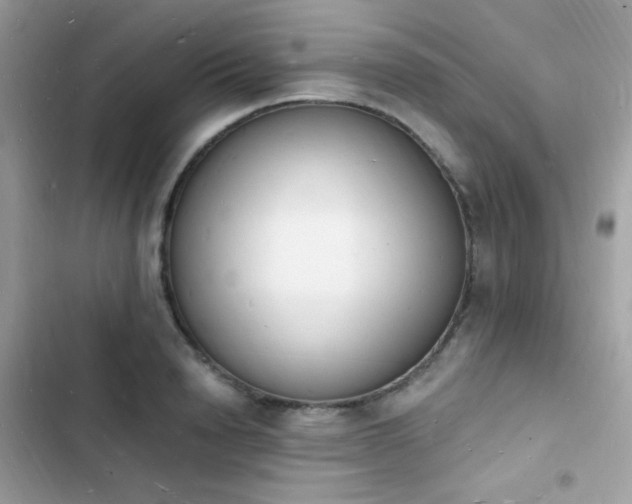 X0000103970846200809191532