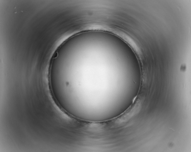 X0000103970847200809191532