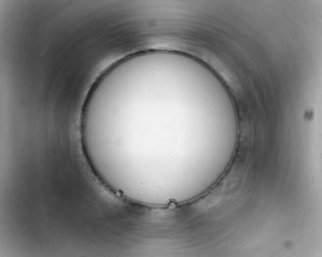 X0000103970848200809191532