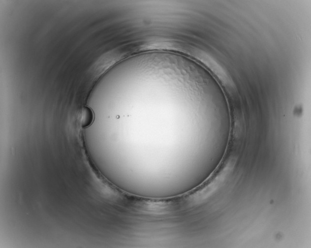 X0000103970849200809191532