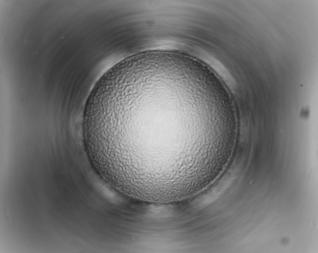 X0000103970850200809191532