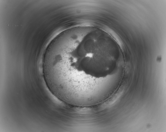 X0000103970851200809191532