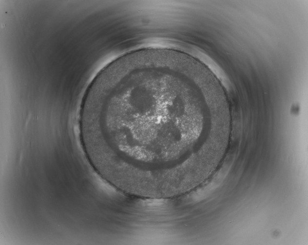 X0000103970853200809191532