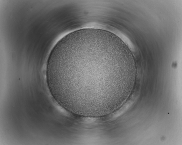 X0000103970854200809191532