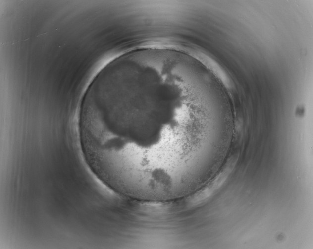 X0000103970855200809191532