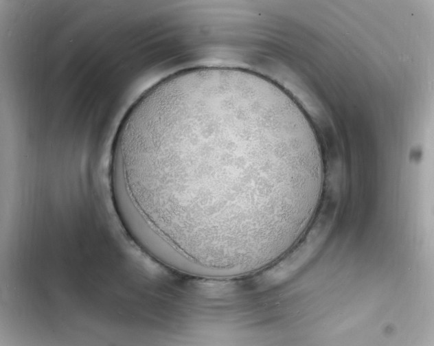 X0000103970856200809191532