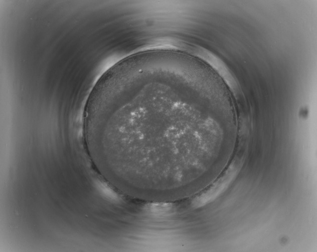 X0000103970858200809191532