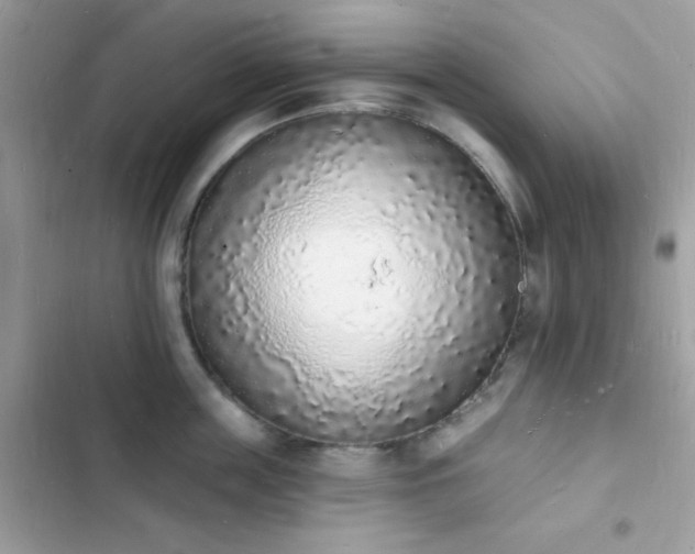 X0000103970859200809191532