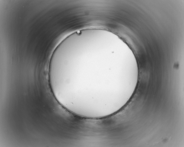 X0000103970860200809191533