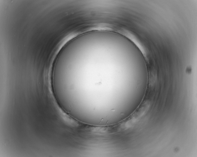 X0000103970861200809191533